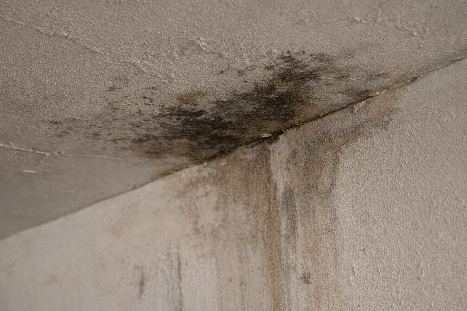 Imagem da ocorrência